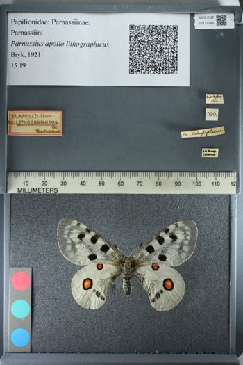 Media type: image;   Entomology 175366